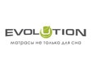 Evolution